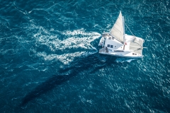 Catana_62__9_